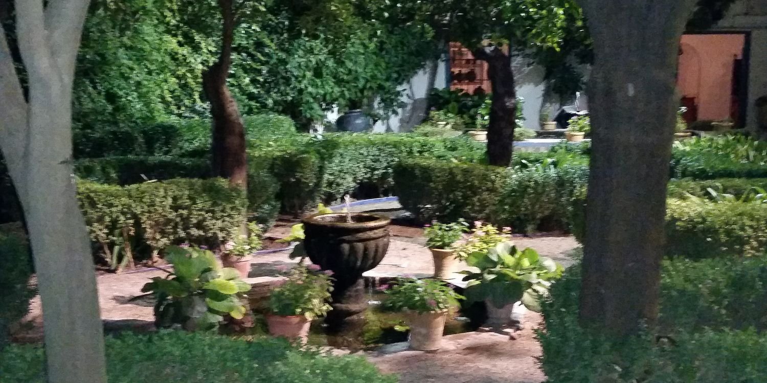 Miguel Ángel Molina banner