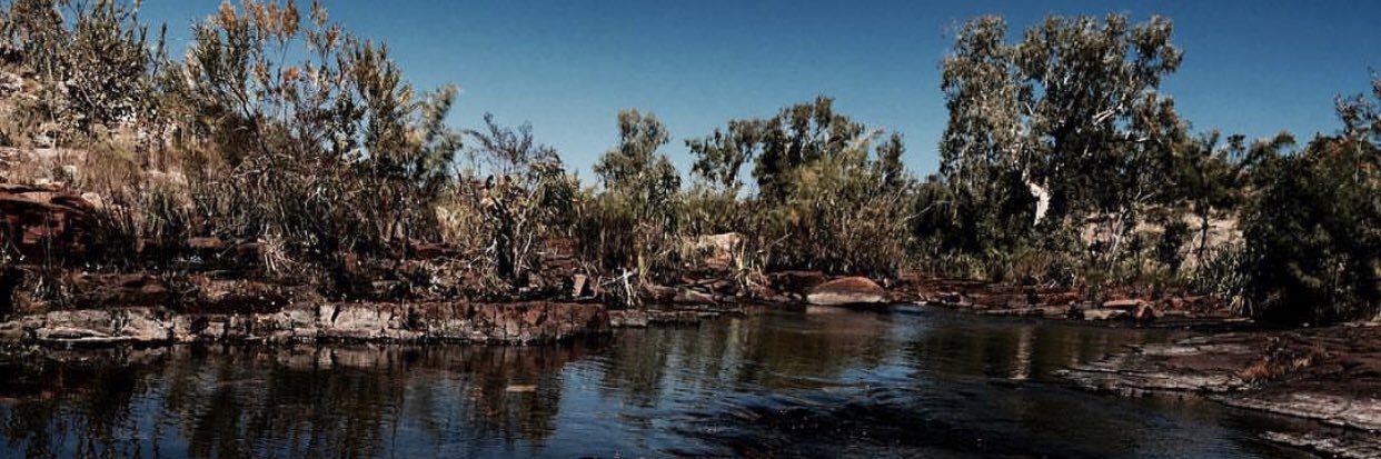 Andreea Lachsz banner