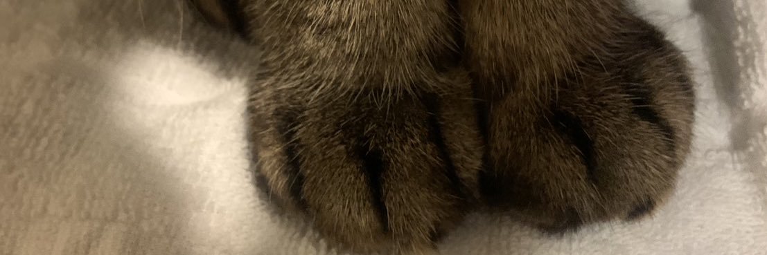 budend_n17's profile banner image