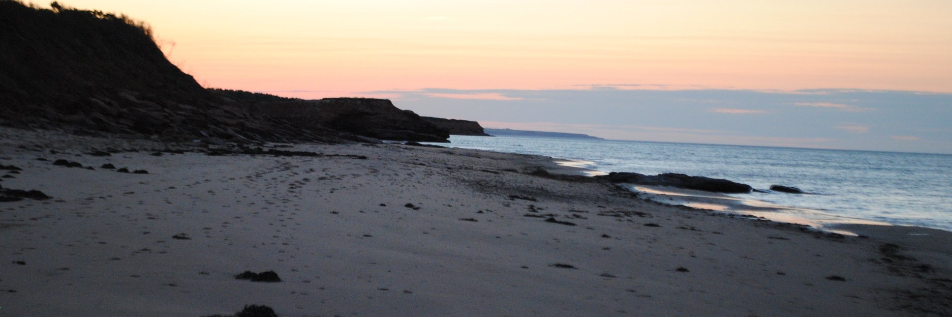 Sandy🌊🌊🌊 banner