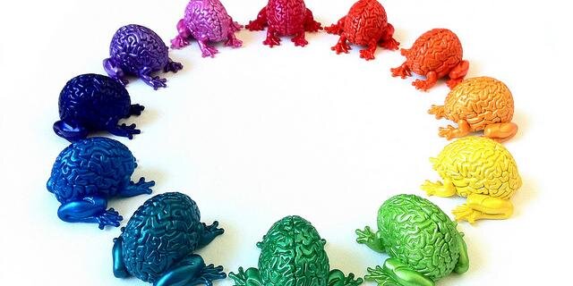 Manu Salvador Casals banner