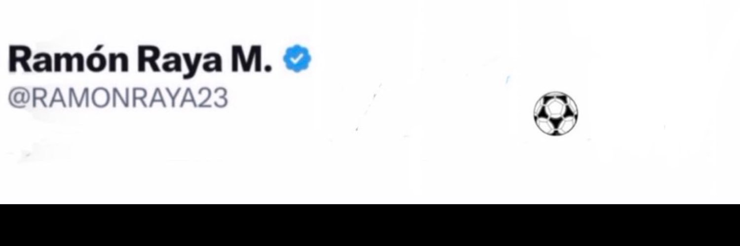 Ramón Raya M.💚 banner