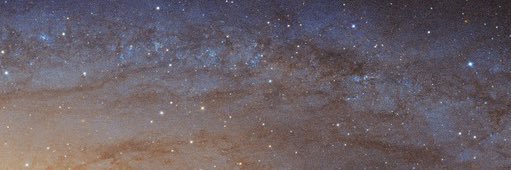 jaymebianco's profile banner image