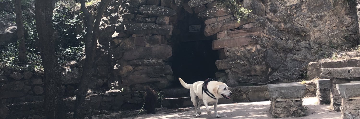 Muchaburi Agent.Co banner