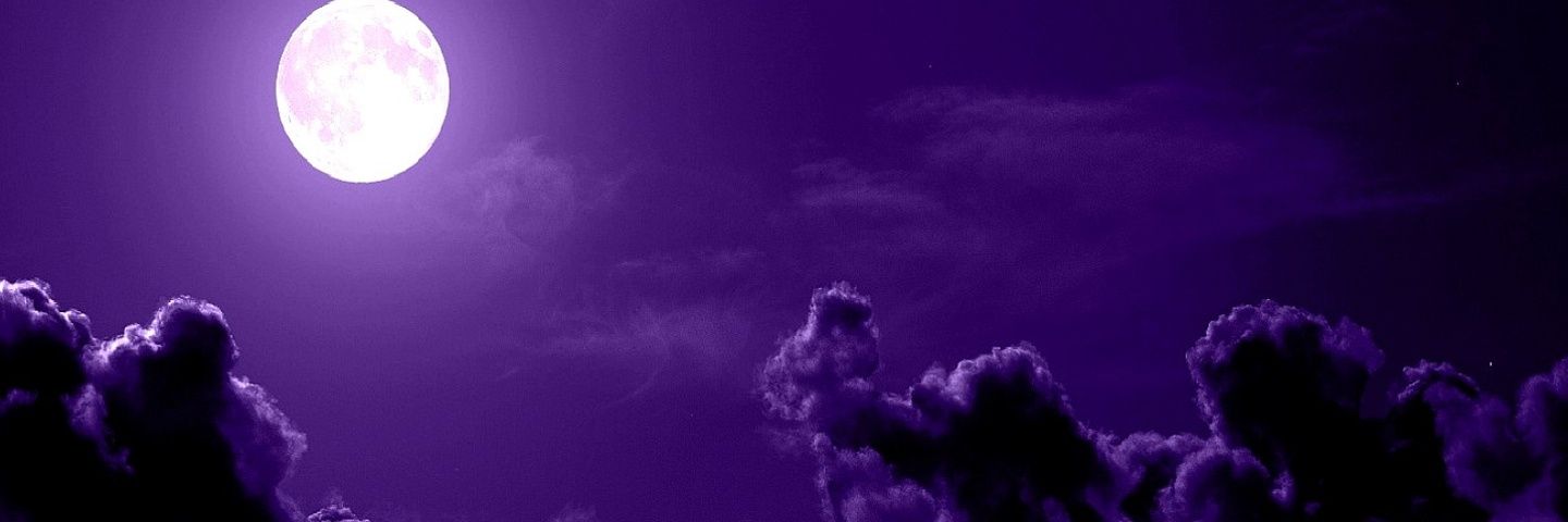 Unique_Mind1's profile banner image