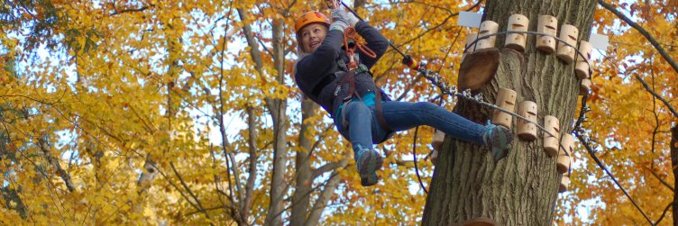 TreeTopEcoPark banner