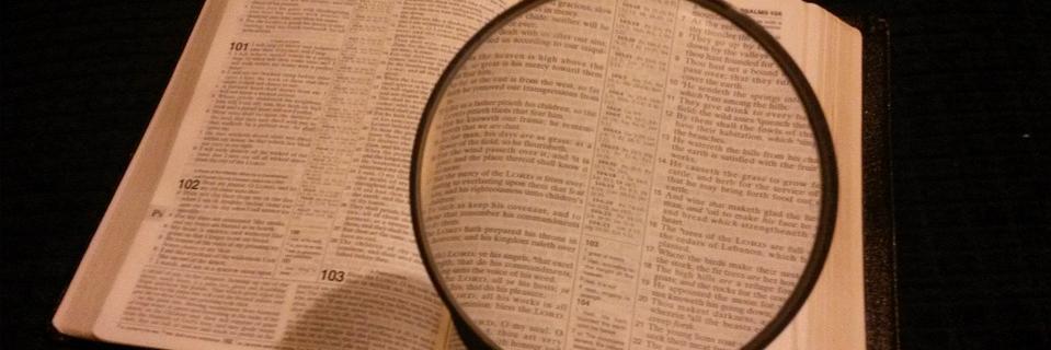 DataSciJ's profile banner image