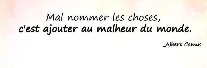 Etienne Gilbert banner