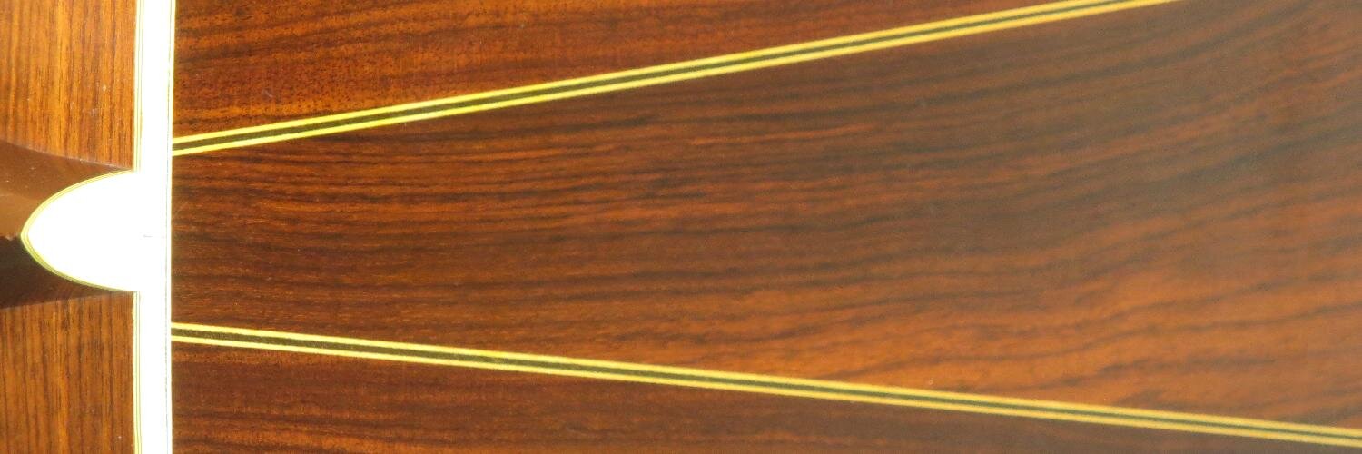 DizDog101's profile banner image