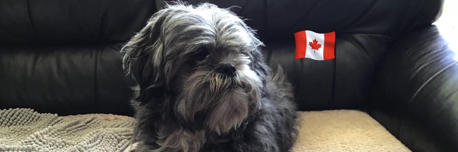 🇨🇦bjlc🍁 banner