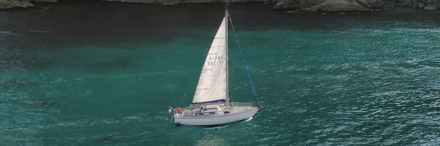 Torliguian Sylvie banner