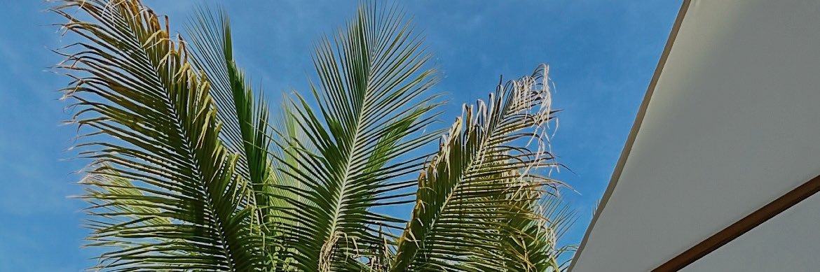 VitoriiaSevero's profile banner image