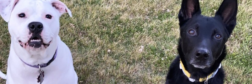 amanda_lambertt's profile banner image
