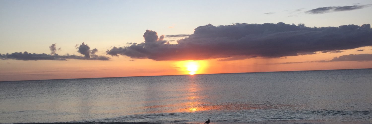 jlaur118's profile banner image