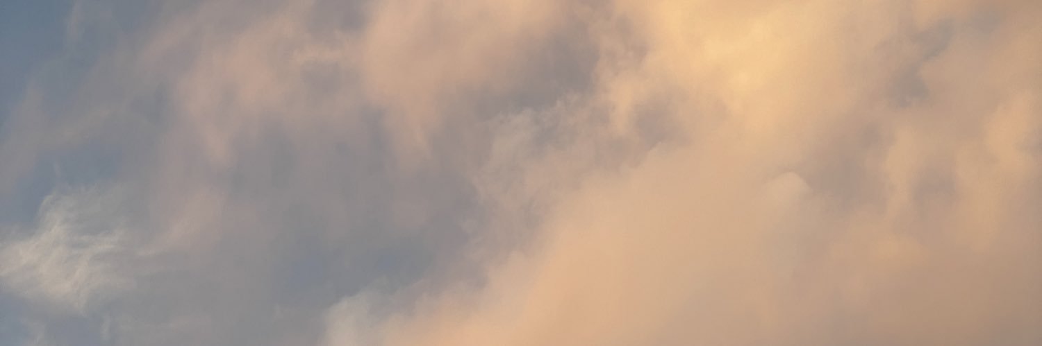 lisseth_w's profile banner image