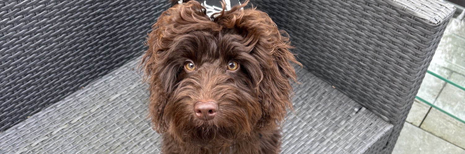 🌼Julie Anne🌼 banner