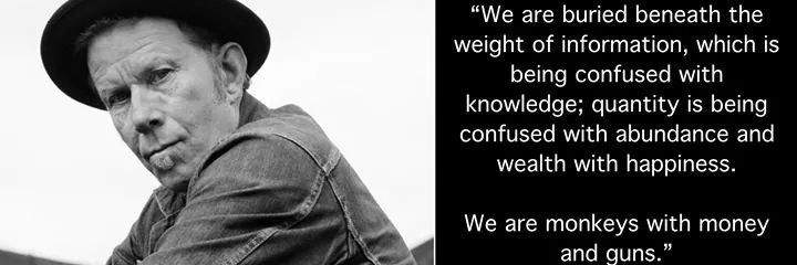 janisstrummer's profile banner image