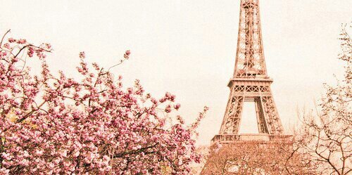 MaryPar94's profile banner image