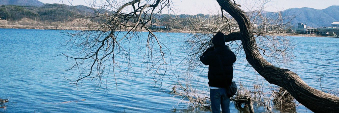 shylfay's profile banner image