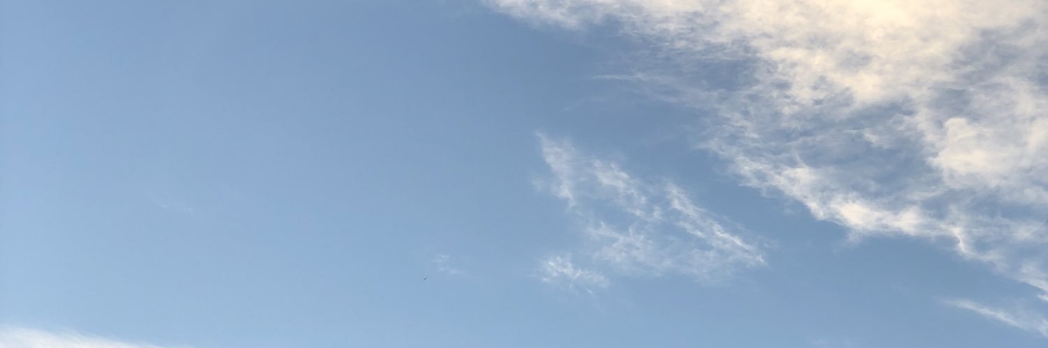 teresabp8's profile banner image