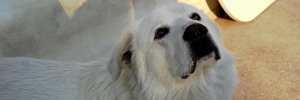 EvaAinen's profile banner image