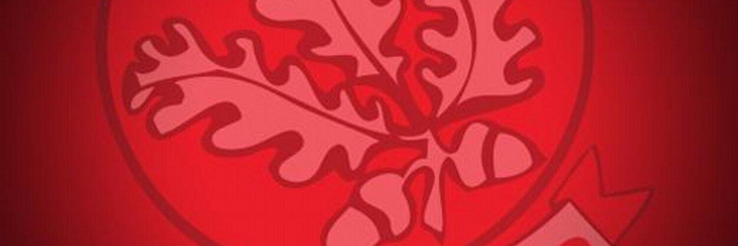 Niallsuarez's profile banner image