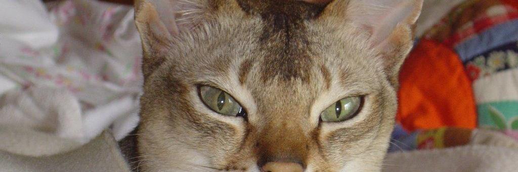 jimmymur's profile banner image