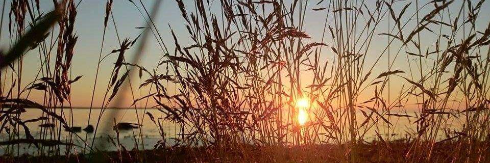sandra_pahk's profile banner image
