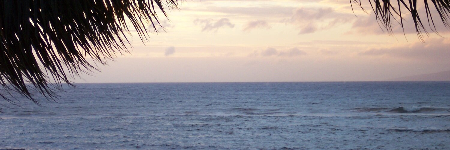 hamatuer's profile banner image