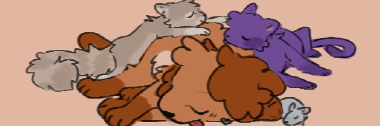 「❥ Cocoa ʕ•ᴥ•ʔ 」's banner