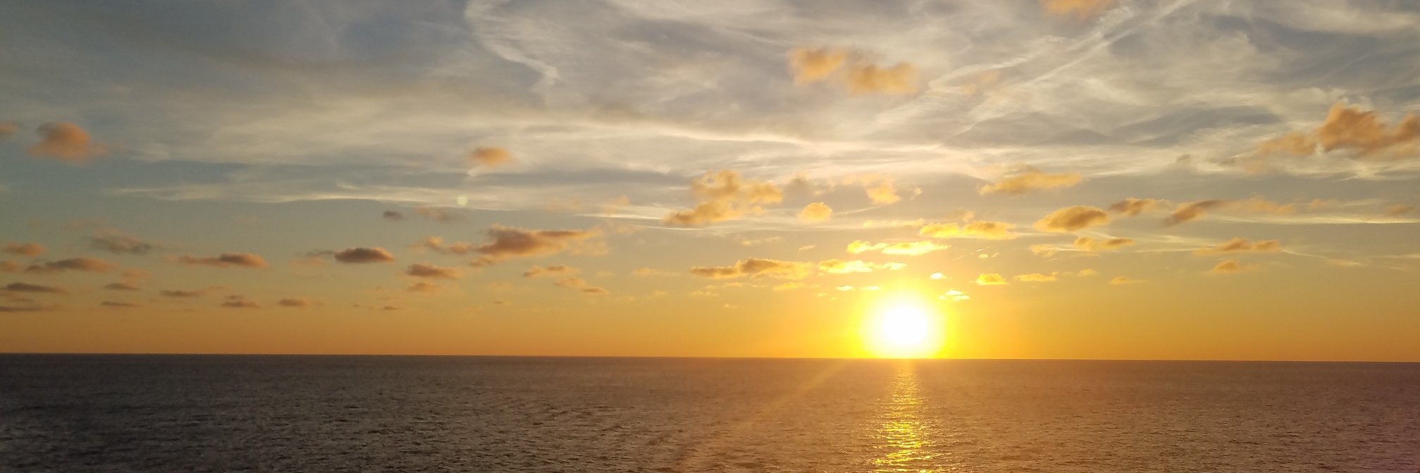 lazerbomb's profile banner image