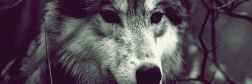 AEEPatron's profile banner image