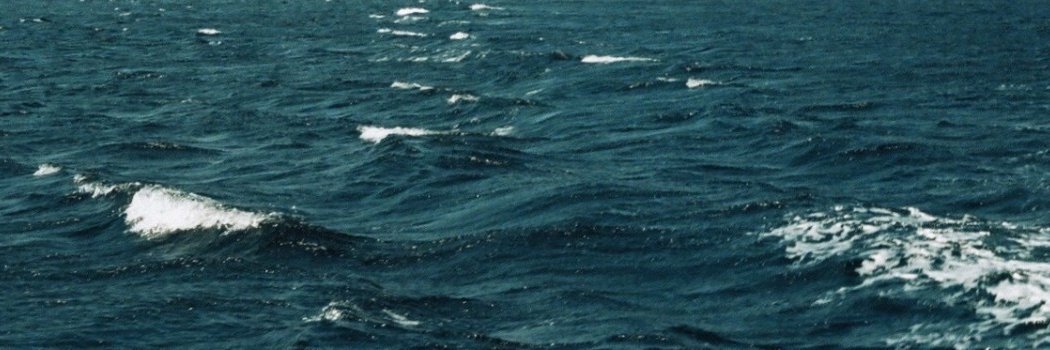 matteobellitto's profile banner image