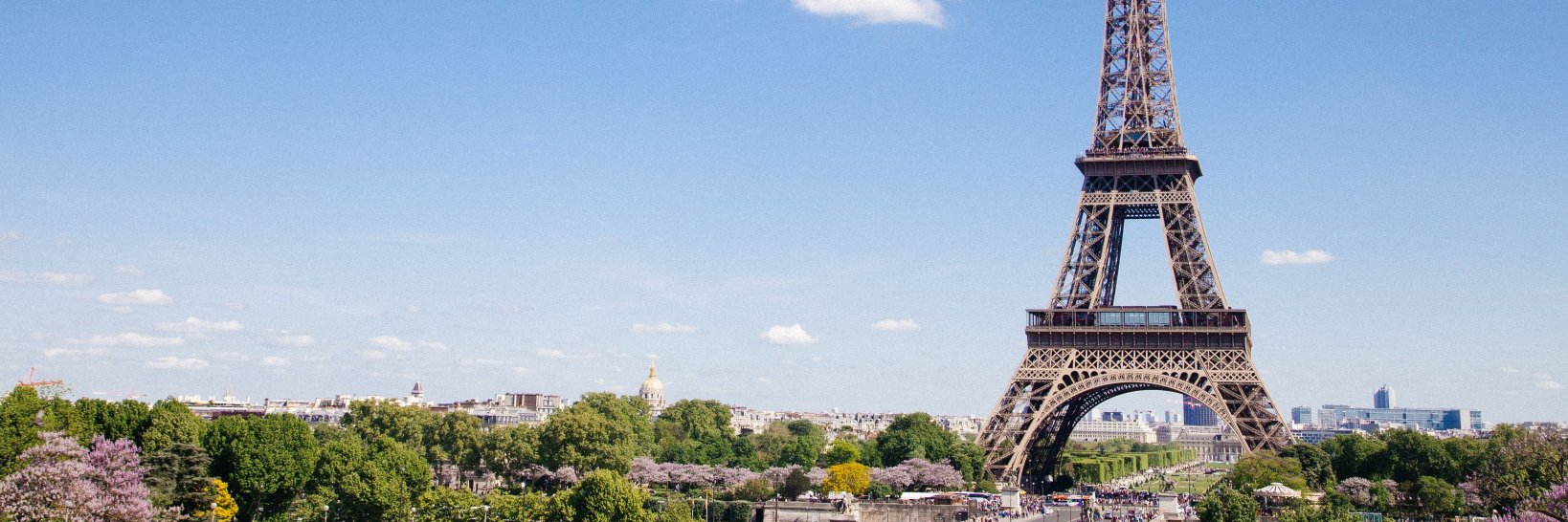 SimplyFrenchYor's profile banner image