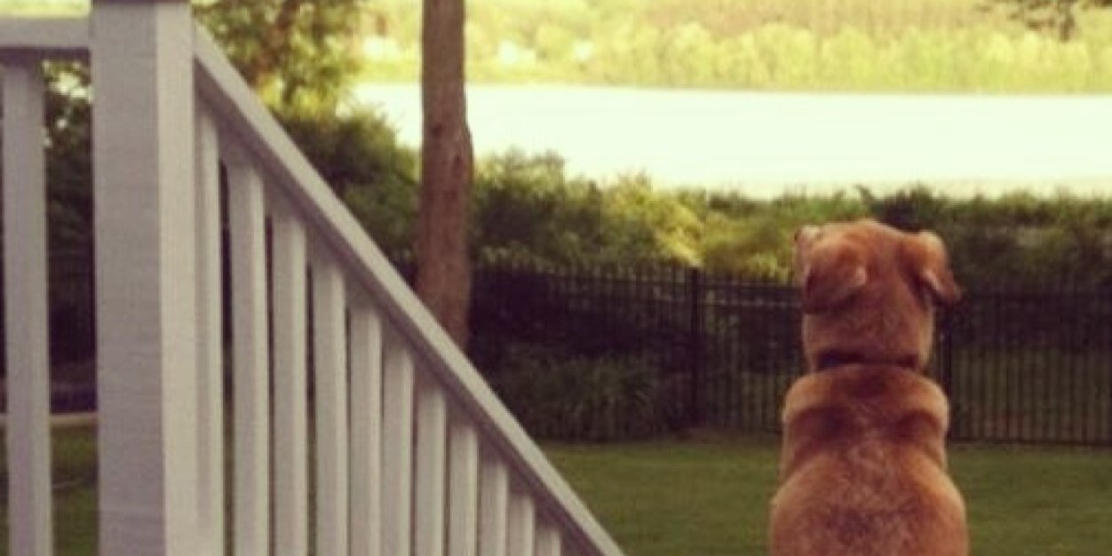 murphymurph4's profile banner image