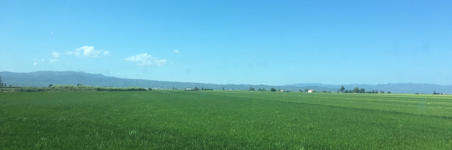burgarolas's profile banner image