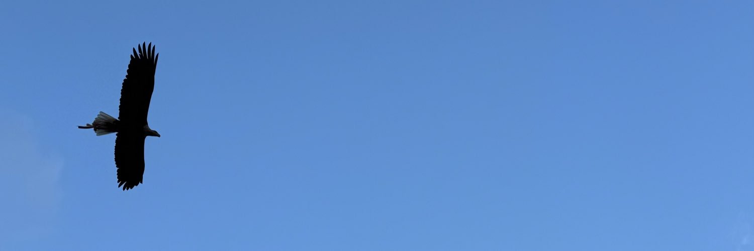 brunoztw's profile banner image