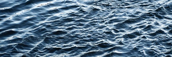 fluttercoder Profile Banner