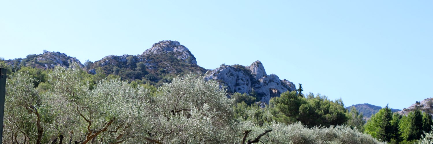 A. Ecobichon banner