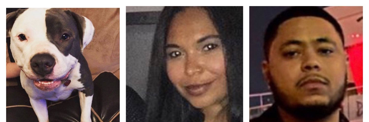 disdeb's profile banner image
