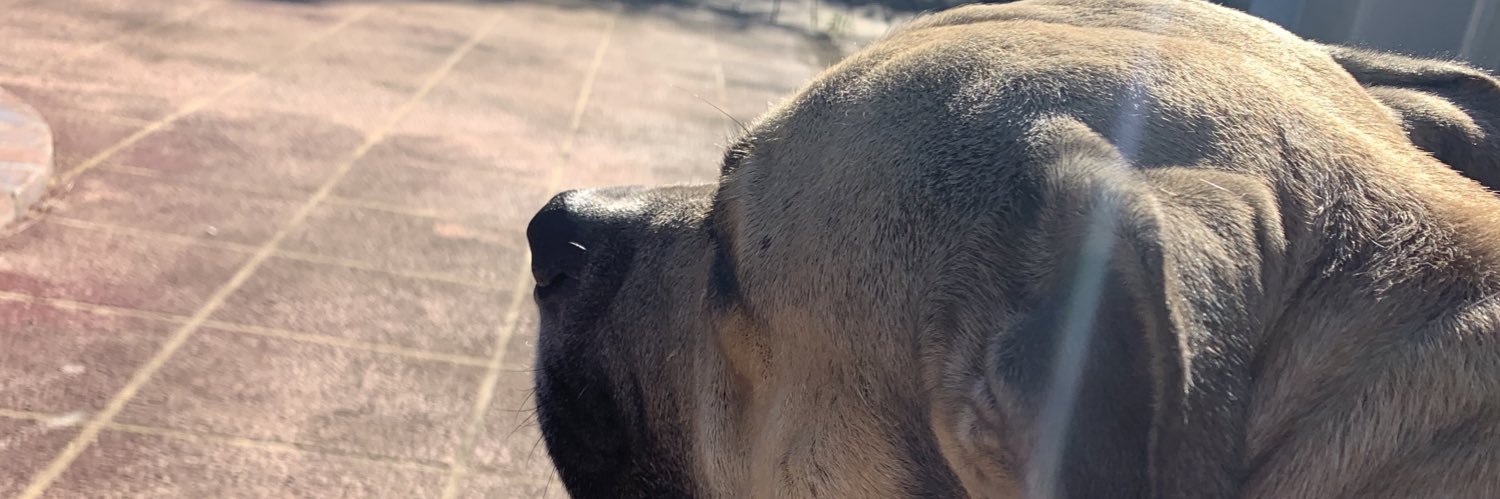 pvemm_'s profile banner image