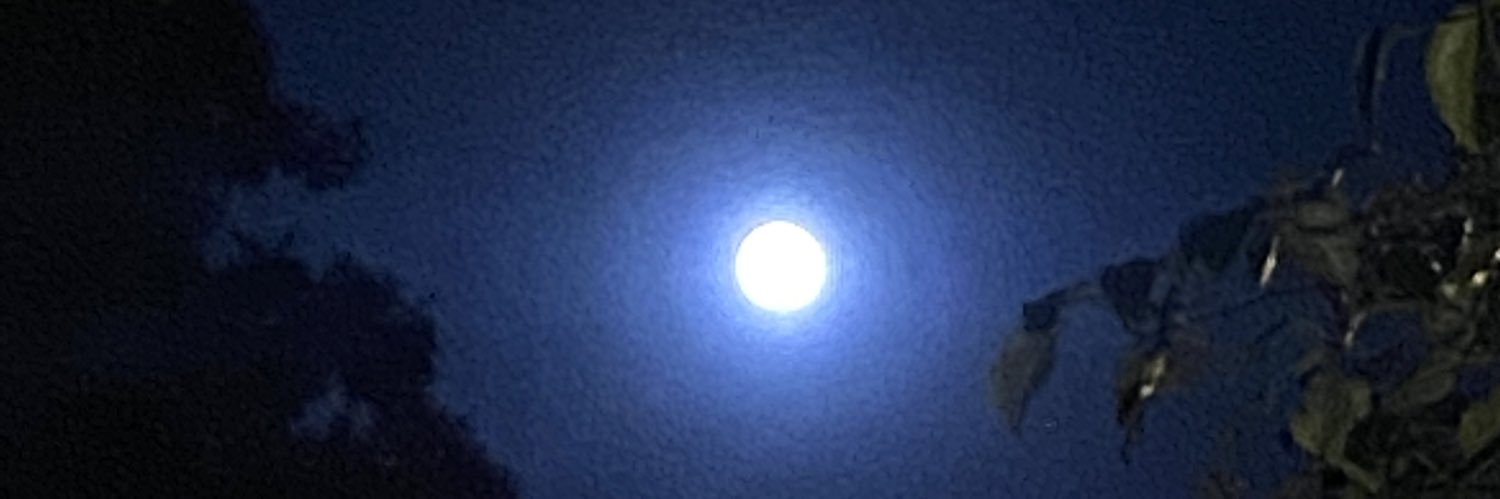 TheAlexander03's profile banner image