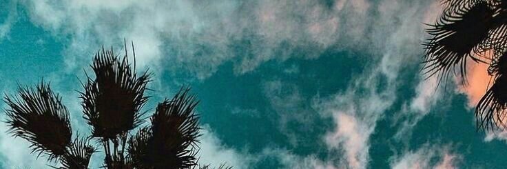 _maariafernande's profile banner image
