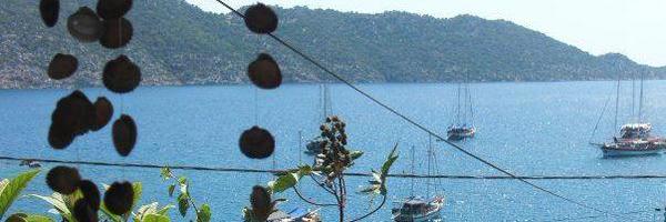 ergullcelik Profile Banner