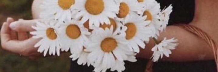 55GyGy's profile banner image