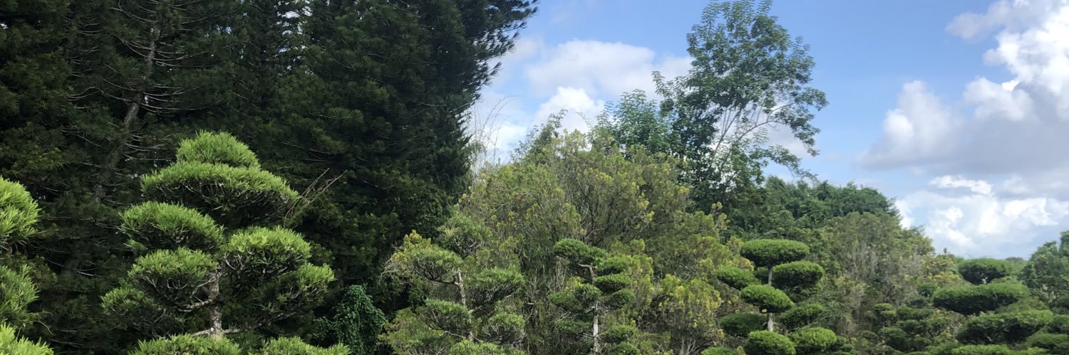 BarbDelMar's profile banner image