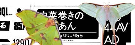 baptismofspace's profile banner image