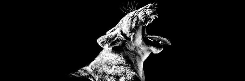 Garfieldd28's profile banner image