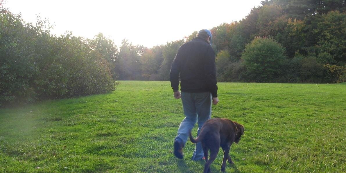 JoeyTheBookDog's profile banner image