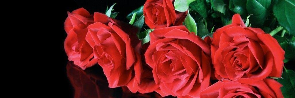 SENDEROSDEAMOR's profile banner image